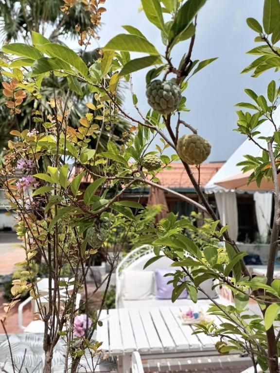 פראצ'ואפ קירי קאן Palm Sweet Hotel מראה חיצוני תמונה